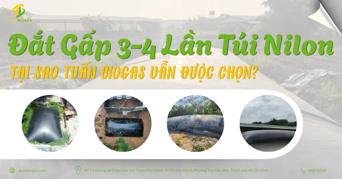 Vì Sao Túi Biogas Tuấn Biogas Đắt Gấp 3-4 Lần Túi Tự Chế Bằng Bao Nilon?